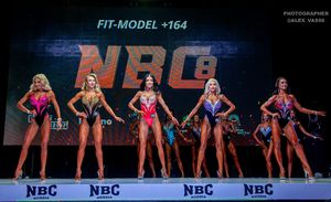 FIT-MODEL +164 (1 раунд)